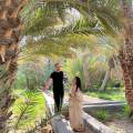 tree-project-alia-yunis.jpg
