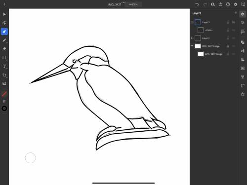 kingfisher_linedrawing_02.jpg